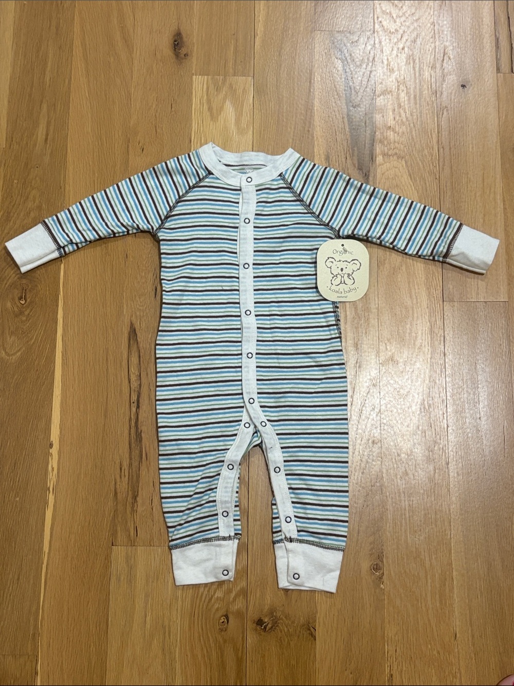 Koala Baby Organic Cotton Stripe One-Piece - Blue & Brown